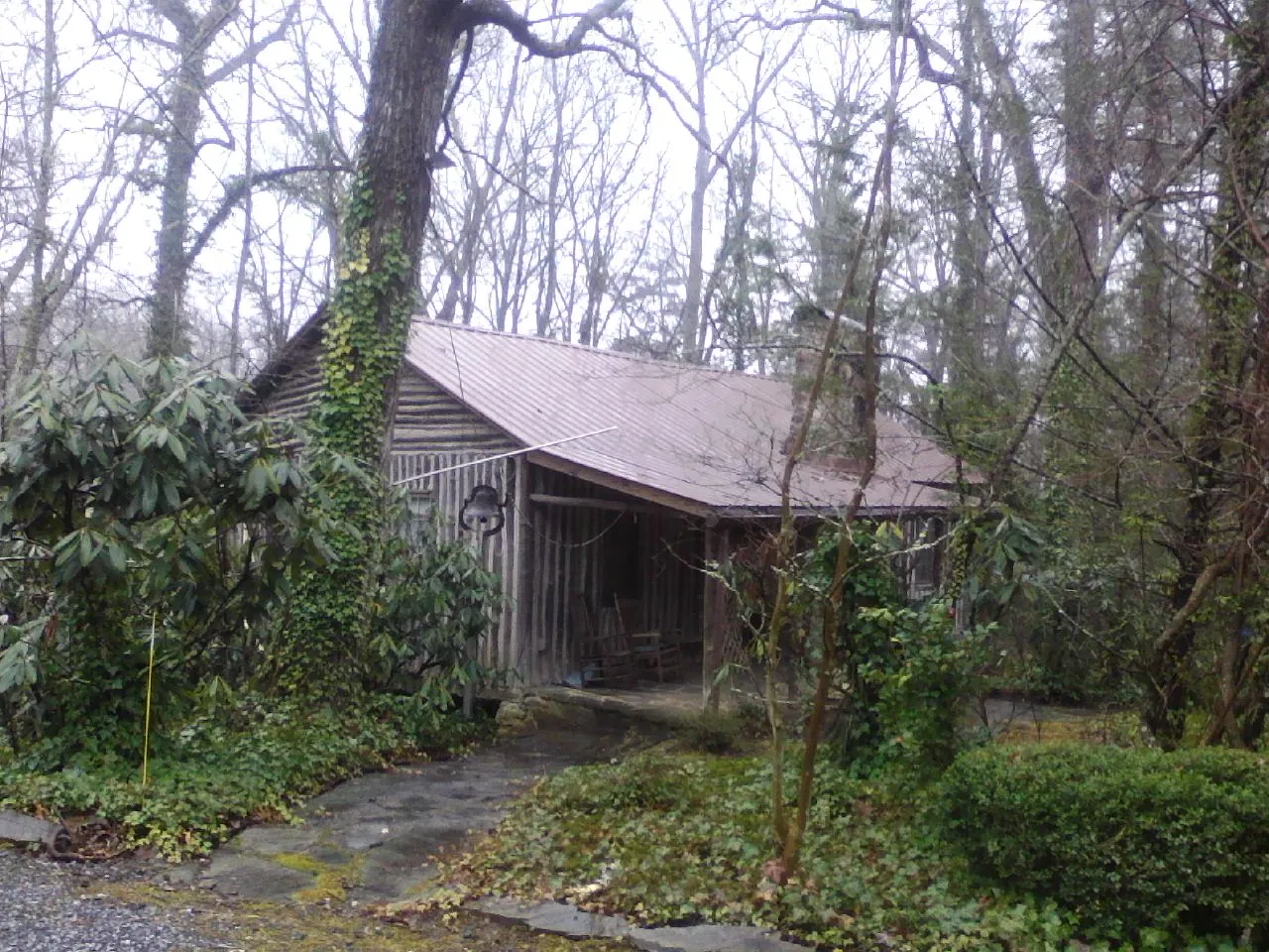 Weathered metal roof on an old board sided cabin in the woods in Suwannee